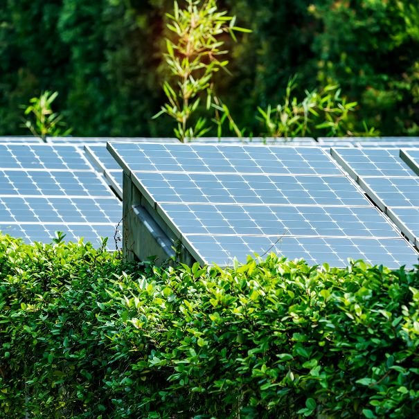 Bridging the Energy Gap: Gas-Fired Generation & Renewable Investments
